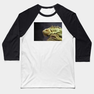 Iguana Baseball T-Shirt